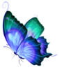 Vintage Butterfly Blue Green No Back Image